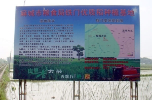 麻城市金豐農(nóng)業(yè)綜合開發(fā)有限公司